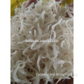 High quality delicious dried whitebait slice